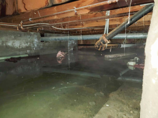 Best Water damage contractors near me  in Irvington, NY