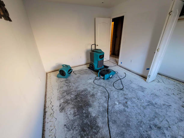 Best Residential water damage restoration  in Irvington, NY