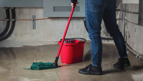 Best Carpet water damage restoration  in Irvington, NY