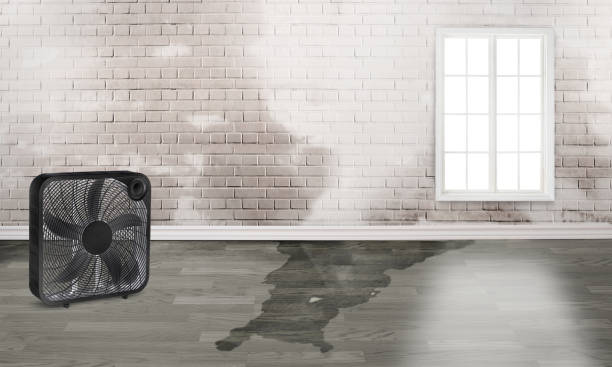 Best 24-hour water damage restoration  in Irvington, NY