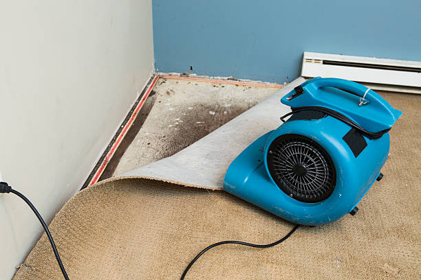 Best Professional water damage repair  in Irvington, NY